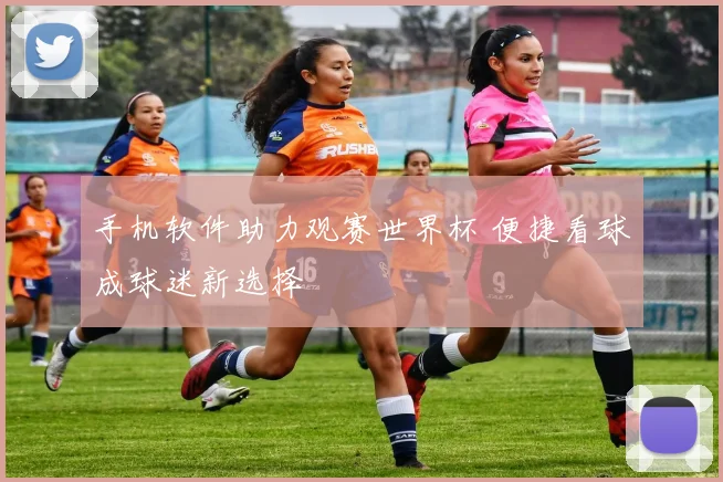 手机软件助力观赛世界杯 便捷看球成球迷新选择