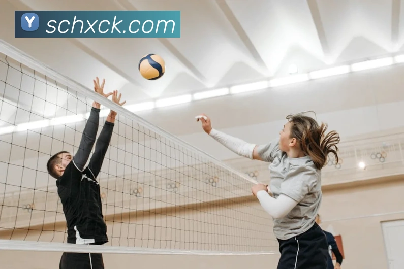 世界杯官方网络平台发展历程